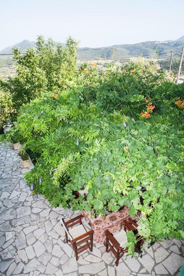 Villa Ilias Pinakokhorion Buitenkant foto
