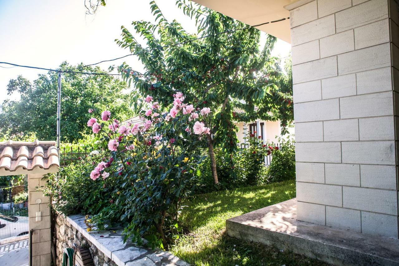 Villa Ilias Pinakokhorion Buitenkant foto